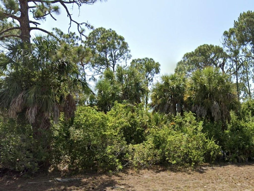 Photo of 124 Coca Lane, Rotonda West, FL 33947 (MLS # TB8473194)