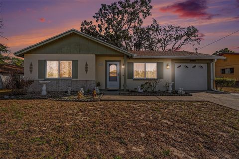 Photo of 11116 Marquette Street, Spring Hill, FL 34609 (MLS # TB8478261)