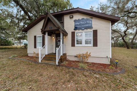 Tiny photo for 219 W Mcclendon Street, Lady Lake, FL 32159 (MLS # G5108363)