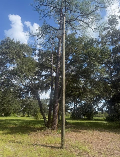 Tiny photo for 6368 E Sunrise Prairie Lane, Hernando, FL 34442 (MLS # O6435373)