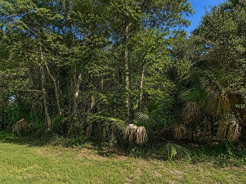 Tiny photo for 6368 E Sunrise Prairie Lane, Hernando, FL 34442 (MLS # O6435373)
