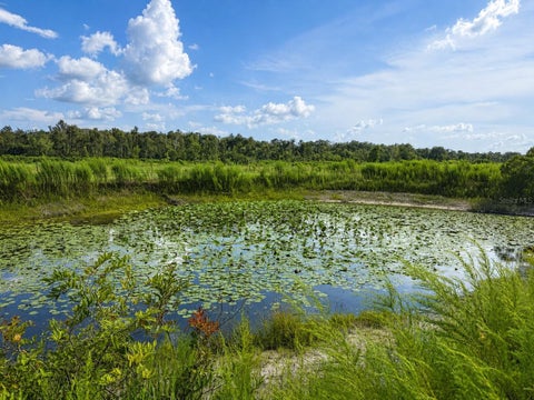 Tiny photo for 6368 E Sunrise Prairie Lane, Hernando, FL 34442 (MLS # O6435373)