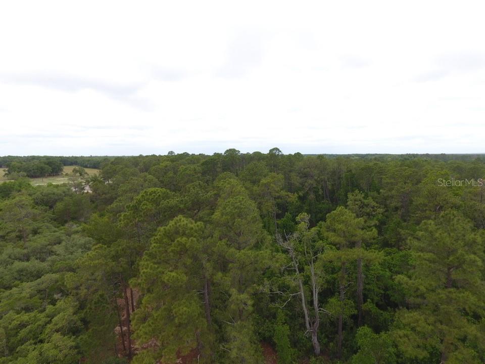CRESCENT ACRES - Land