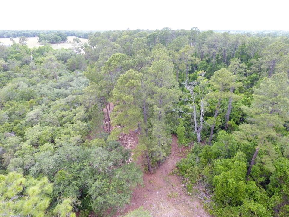 CRESCENT ACRES - Land
