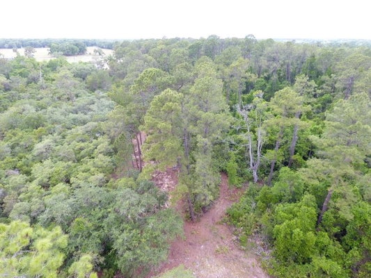 161 SNAKE HILL RD, CRESCENT CITY, FL 32112 - Image fb512feb42f171d8ca2ab3d4b0edd126/849258052