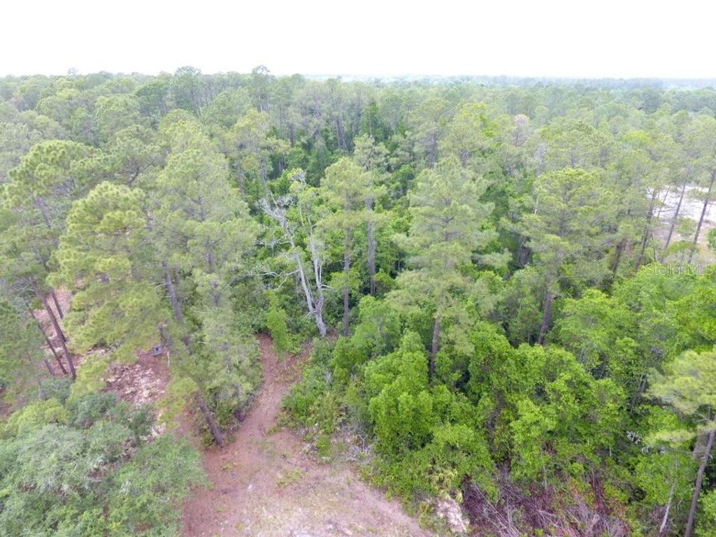 Photo of 161 Snake Hill Road, Crescent City, FL 32112 (MLS # V4948566)