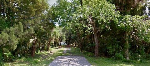 Photo of 420 Palmetto Street, Edgewater, FL 32132 (MLS # NS1088645)