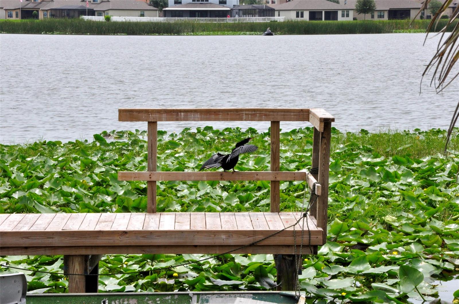 LAKELAND HARBOUR APTS - Residential