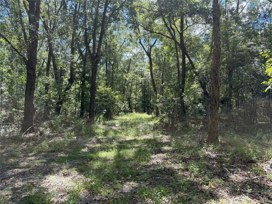 This listing is for Dungarven Oaks Lot #3. 10.03ac in the heart of Horse Country located off of quiet NW 193rd St. A Must SEE. Wooded lot with large mature Live Oaks, and towering Longleaf Pines makes for a perfect blank canvas for your homestead. Minor Deed Restrictions to protect the integrity of your investment but give you the freedoms you would expect when owning land. Less than 25 minutes from Ocala and Gainesville, Great Location. 5 minutes from the WEC Ocala Jockey Club (recently purchased by the owners of the World Equestrian Center), 25 minutes from the World Equestrian Center. OWNER FINANCING AVAILABLE 20% Down, 10.9% Interest, based on 10 year amortization, 3yr fixed, 3 year balloon, Payments = $2,753/mo (Buyer pays all Closing Costs on Owner Financed Purchases includes Doc Stamps on Deed & Mortgage, Intangible Tax on Mortgage, Title Insurance, $100 Loan Fee, $10/mo Collection Fee...)....Additional Acreage Available - call for details. LA will show you all available inventory upon request.