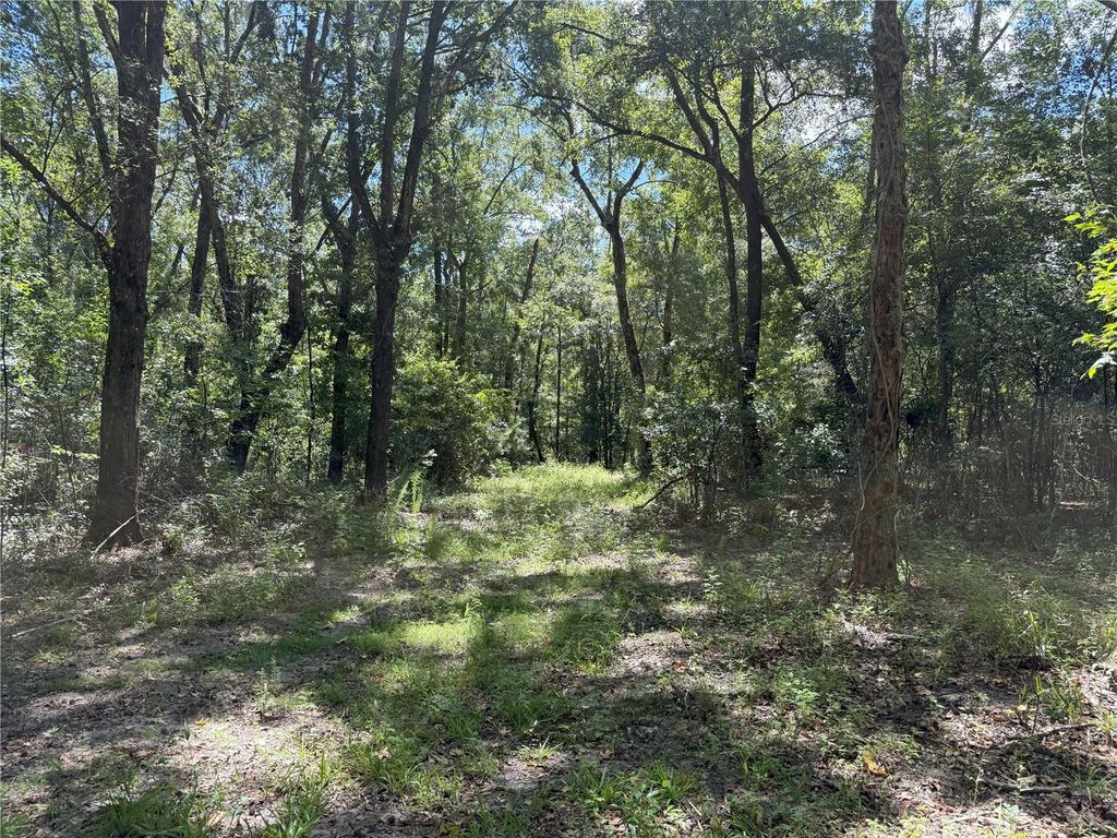 Photo of 3 NW 193rd St, Micanopy, FL 32667 (MLS # OM708777)