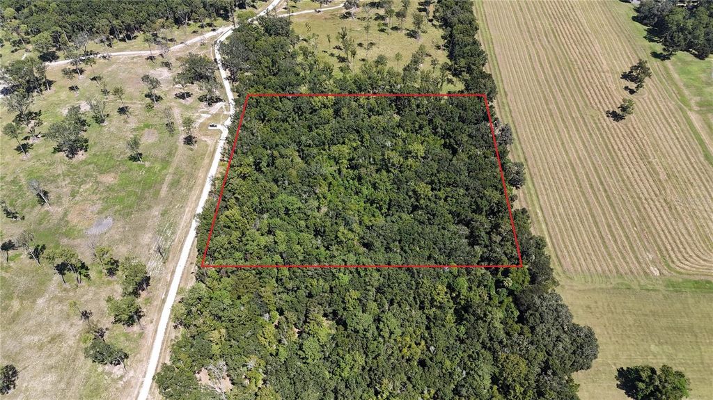 Photo of 3 NW 193rd St, Micanopy, FL 32667 (MLS # OM708777)