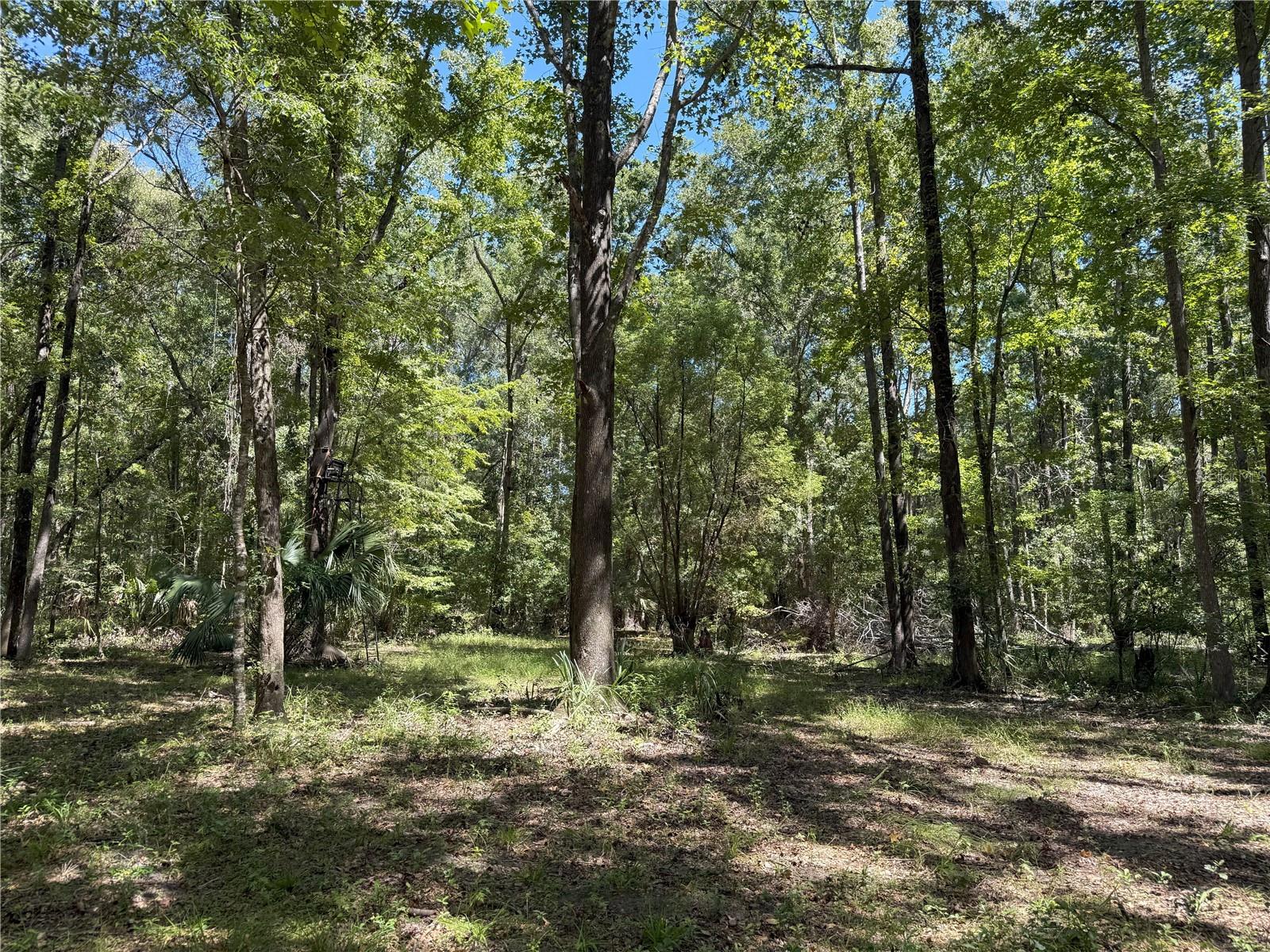 DUNGARVEN OAKS - Land