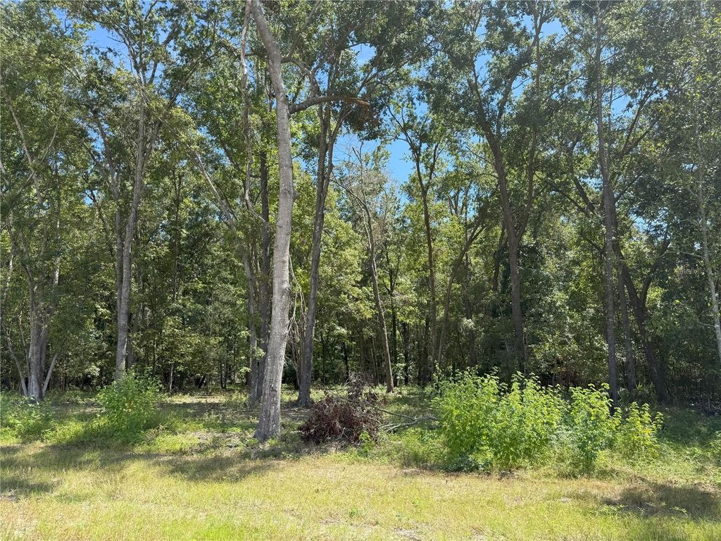 Photo of 3 NW 193rd St, Micanopy, FL 32667 (MLS # OM708777)