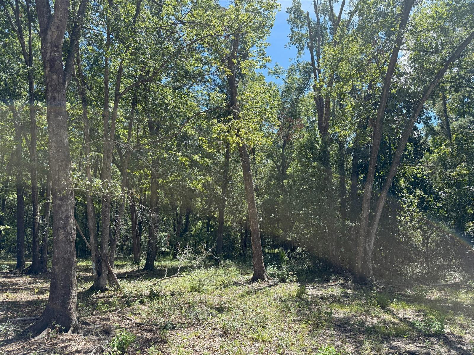 DUNGARVEN OAKS - Land