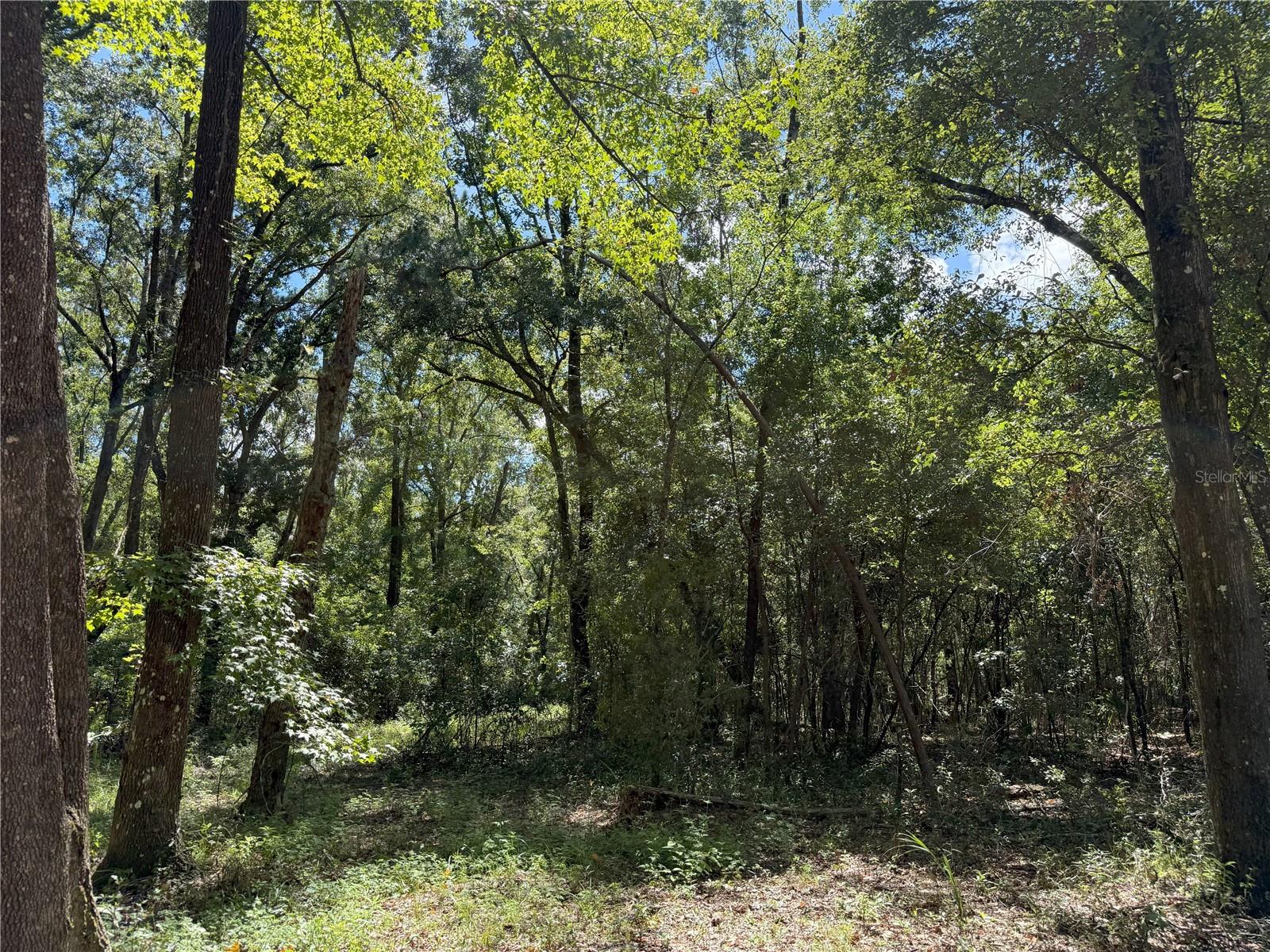 DUNGARVEN OAKS - Land