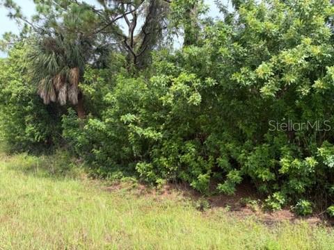 Photo of 1317 Grendon Street, Port Charlotte, FL 33953 (MLS # TB8553416)