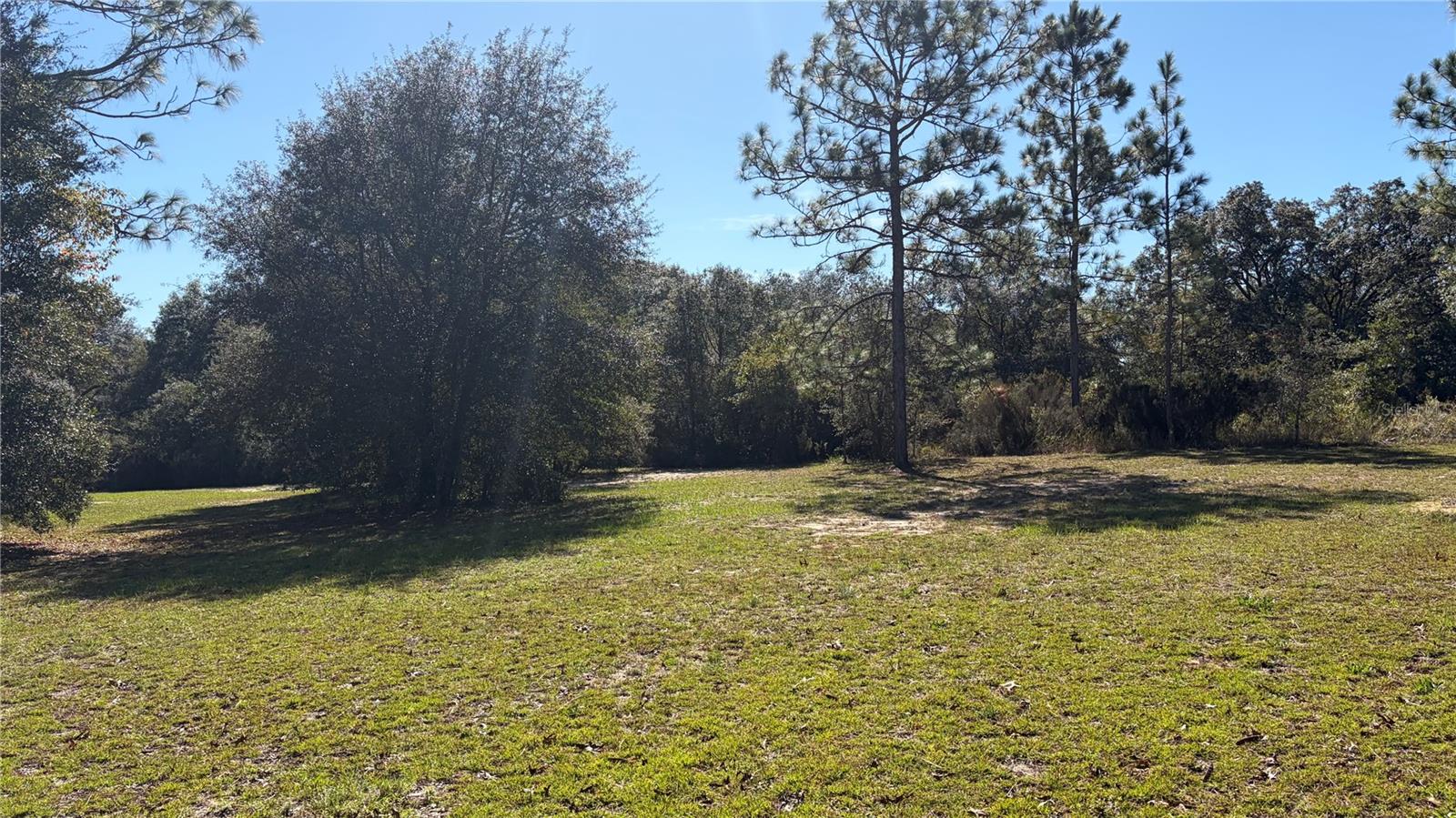 BRONZE SUN ACRES - Residential