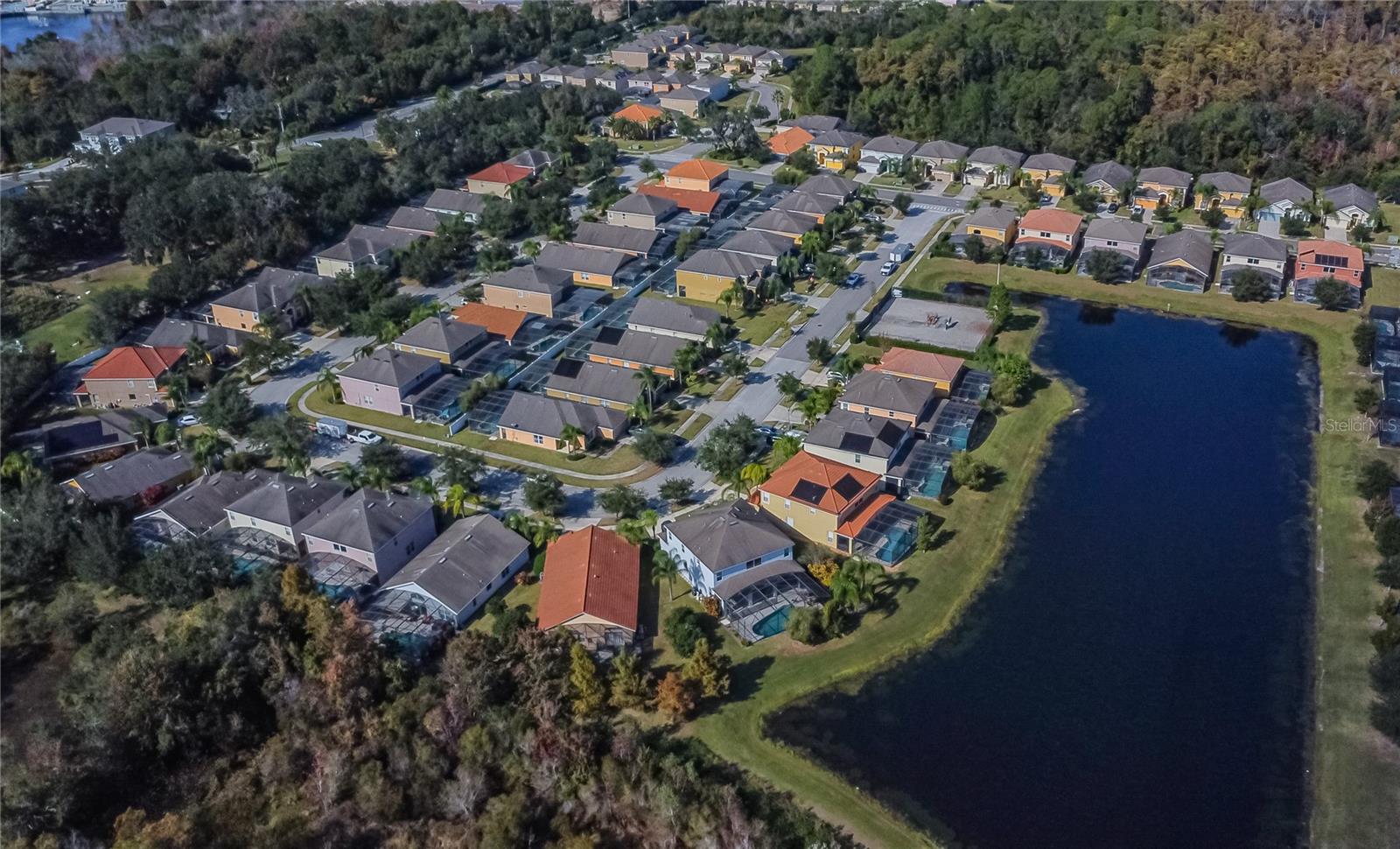 VERANDA PALMS - Residential Lease