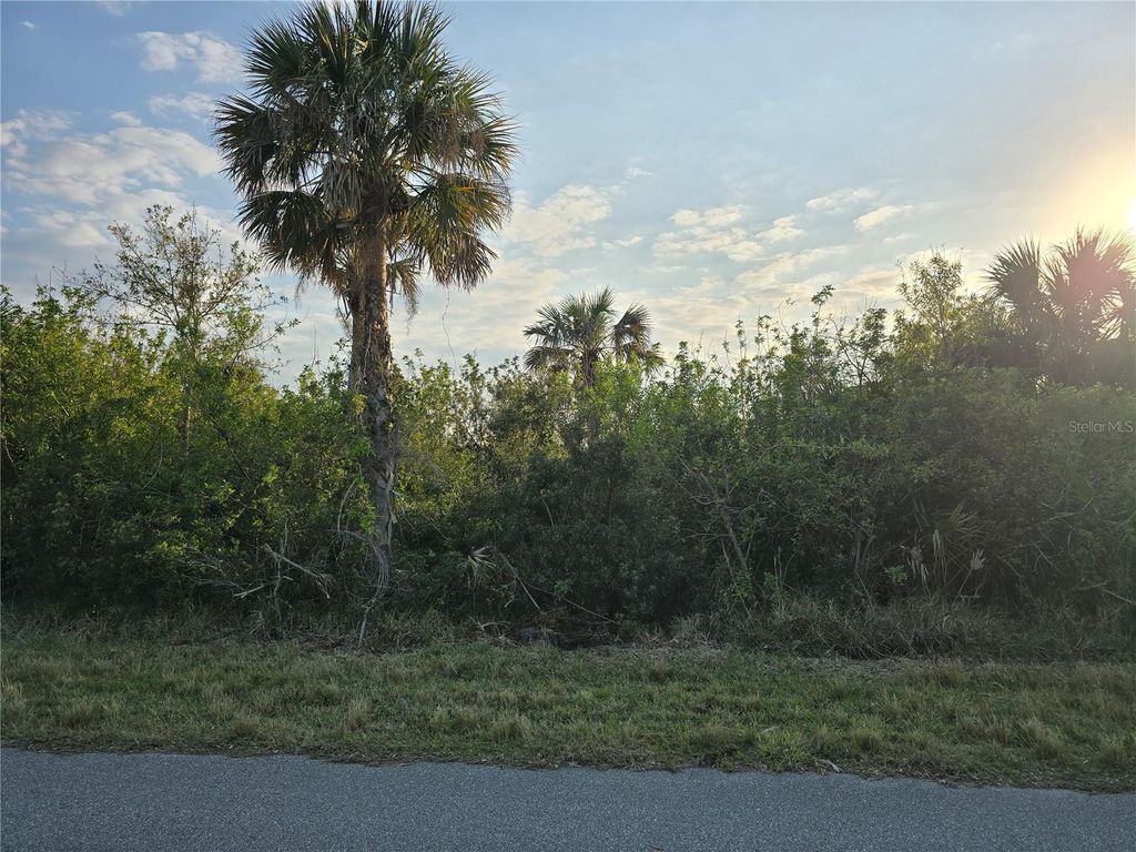 Photo of 12259 Cassino Avenue, Port Charlotte, FL 33953 (MLS # C7506801)