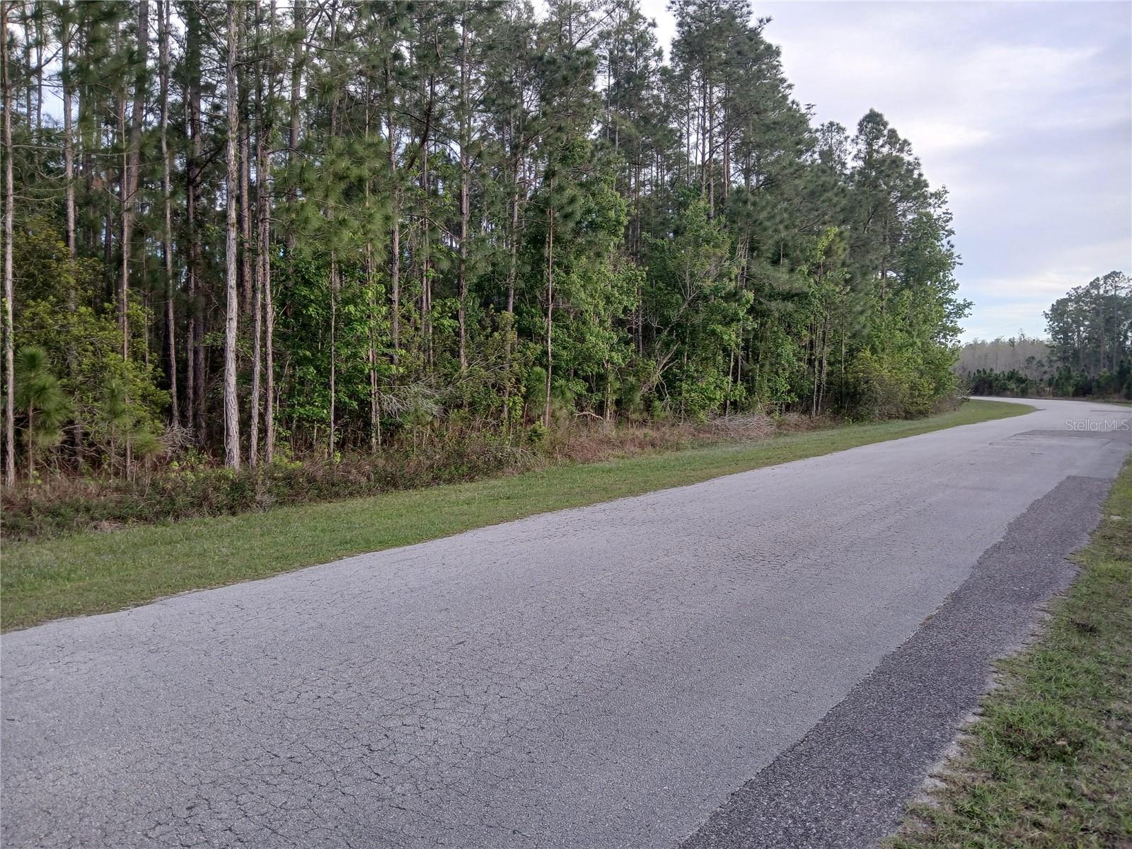 LUCKY WORLD ESTATES - Land