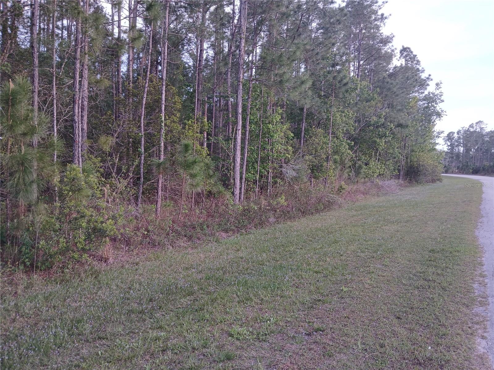 LUCKY WORLD ESTATES - Land