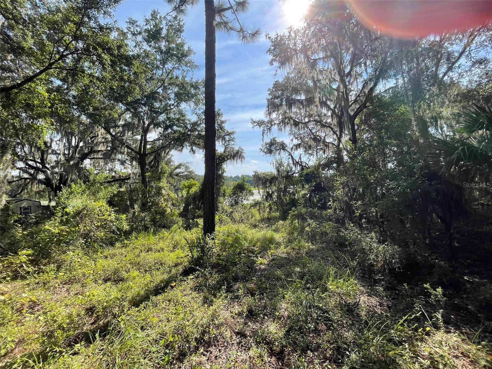 LOTS 15 & 16 SW SHOREWOOD DRIVE