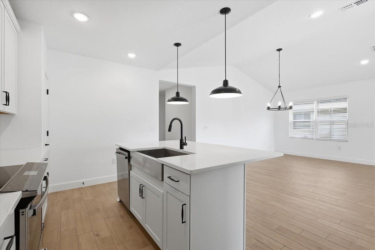 ASPIRE AT PALM COAST - Residential