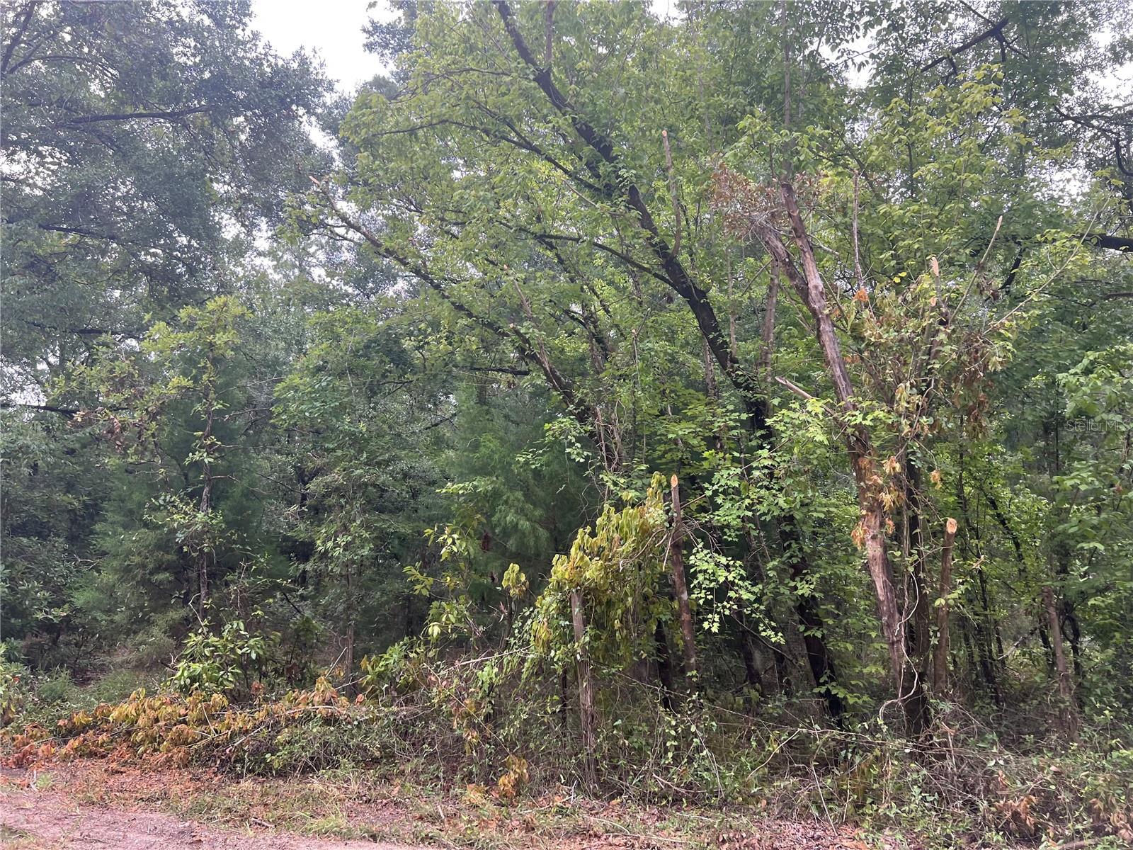 NE 70TH AVENUE