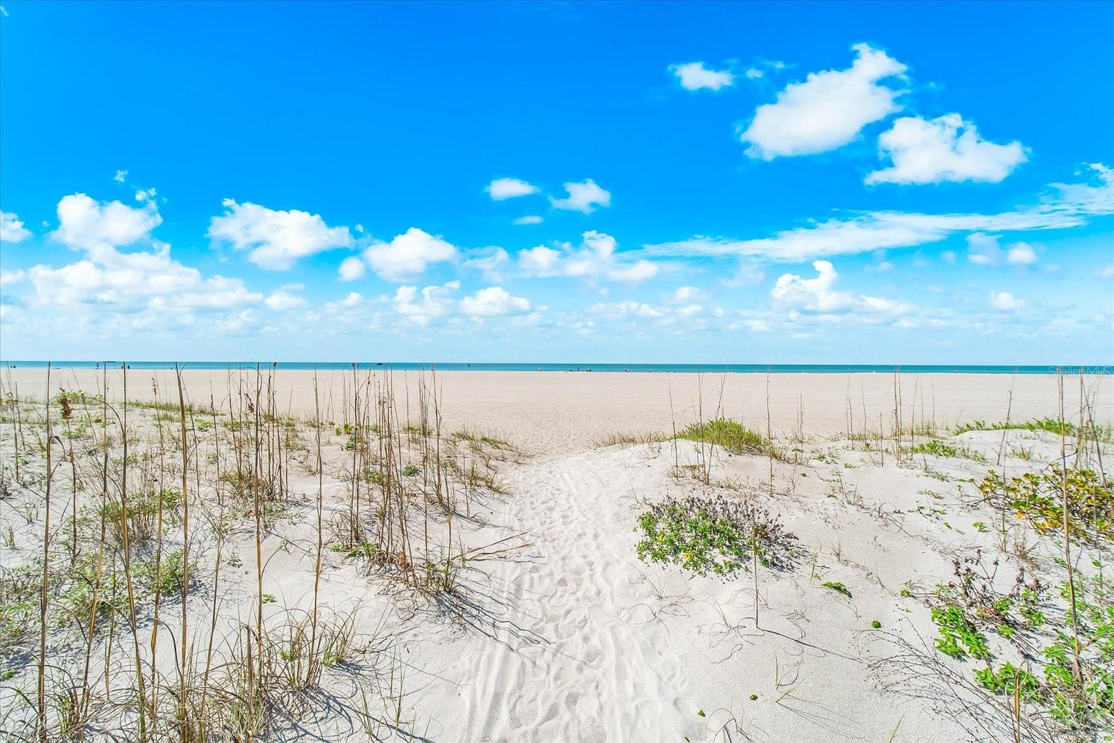 GRANDE ON SAND KEY CONDO - Residential