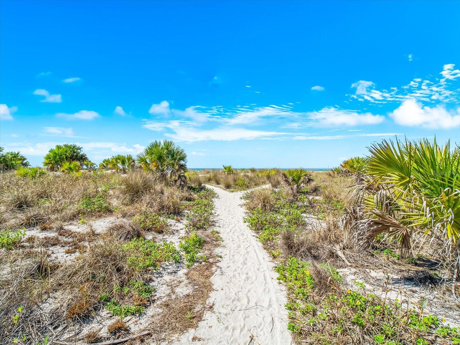 GRANDE ON SAND KEY CONDO - Residential