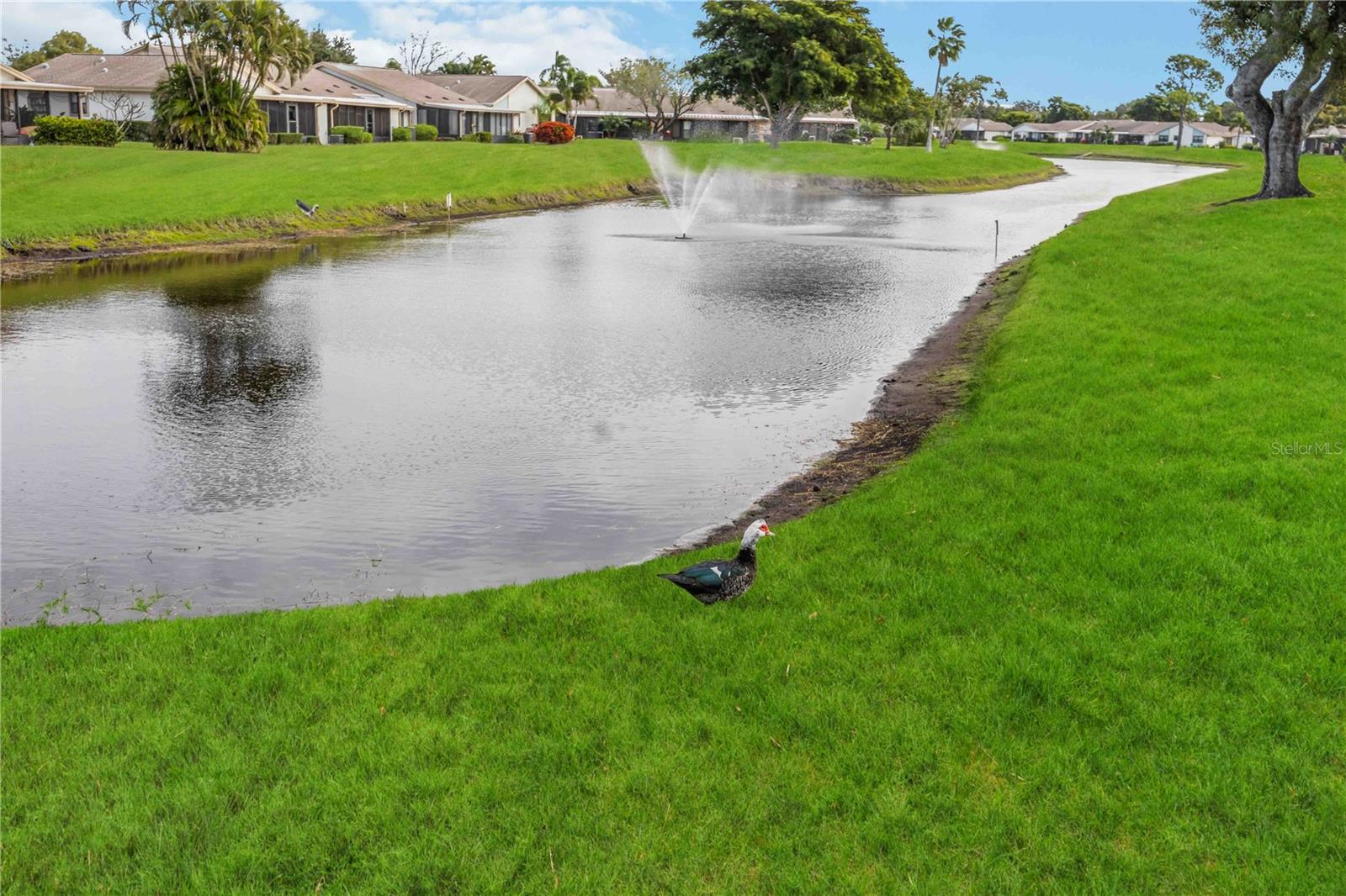 MEADOWCROFT SOUTH - Residential