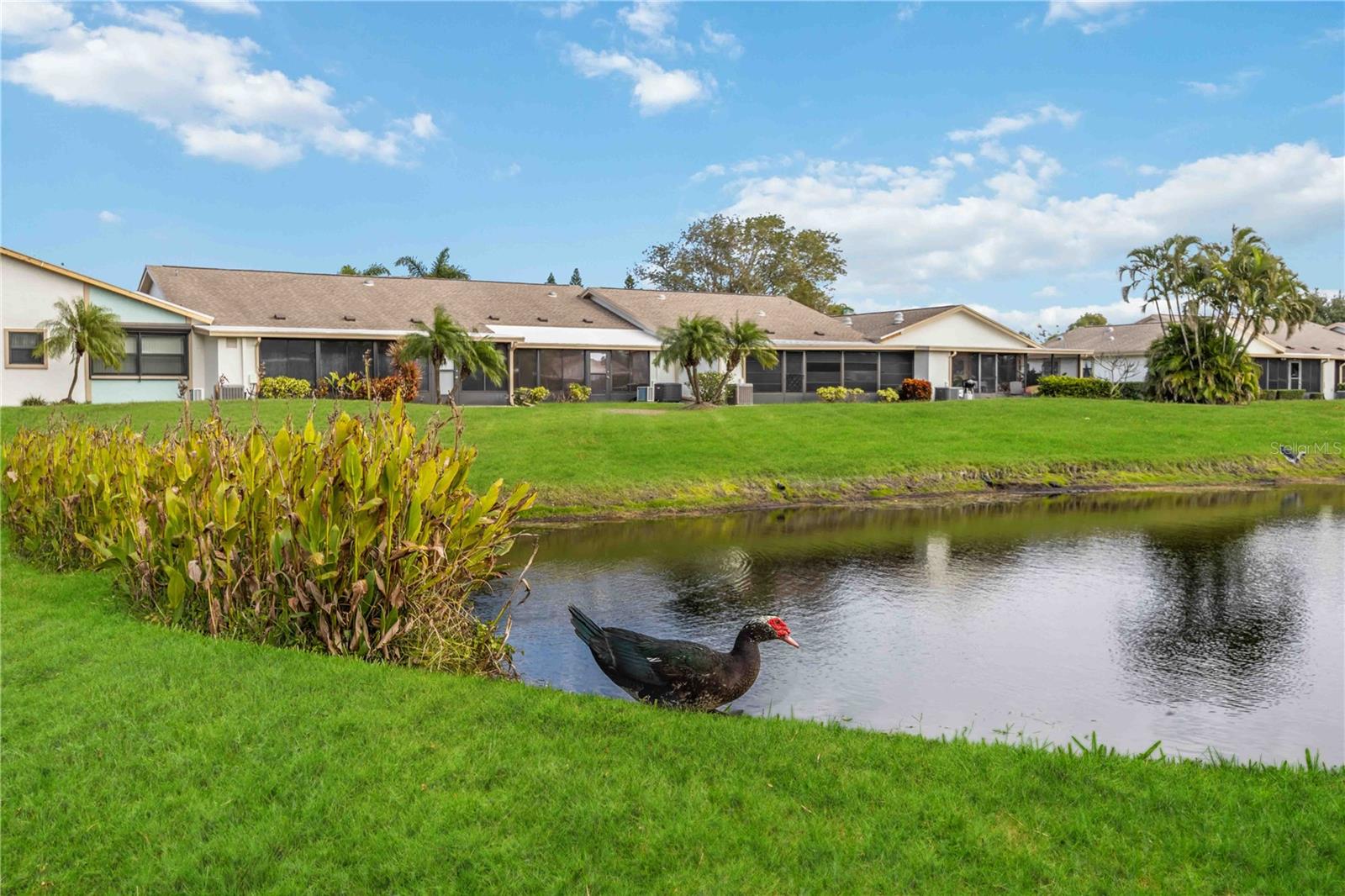 MEADOWCROFT SOUTH - Residential