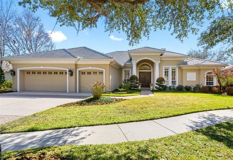 17214 BROADOAK DRIVE TAMPA FL 33647