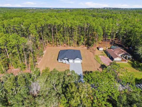 Tiny photo for 1215 W Union Street, Hernando, FL 34442 (MLS # O6374811)