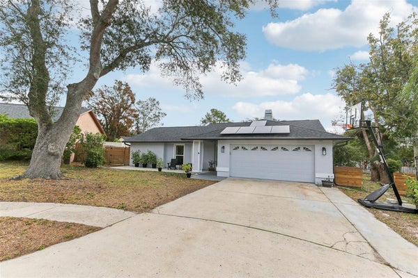 3775 SPRINGHILL CIR, PALM HARBOR, FL 34684 - Image fb7ea3b3f69bf01cbd70c5a5dc00a80c/3603946234