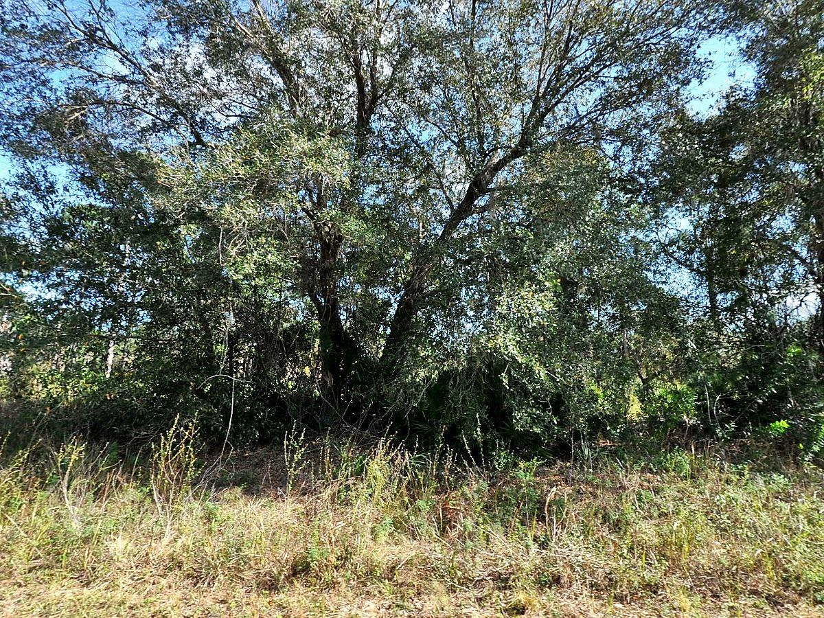 Wow, AAA location on the border of North Port and Port Charlotte right off of Veterans Boulevard ,close proximity to I 75 and located within 30/35 minutes to Fort Myers and Sarasota. minutes to all shopping, dining ,multiple golf courses and historic beautiful downtown Punta Gorda. Attention all people seeking a double lot , lot 5 Also available for sale. Have preferred builder to build your dream home starting at 229,900 for our Casita cottage with RV parking and 289900 for our coral reef model . Have preferred lender for lot loans and also fantastic programs for construction/perm loans if needed. Call for details.