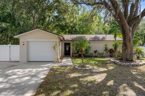 13923 PATHFINDER DRIVE TAMPA FL 33625