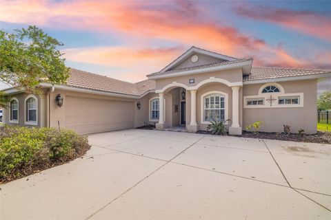 Photo of 244 Dove Trail, Bradenton, FL 34212 (MLS # A4648217) Photo of 244 Dove Trail, Bradenton, FL 34212 (MLS # A4648217)