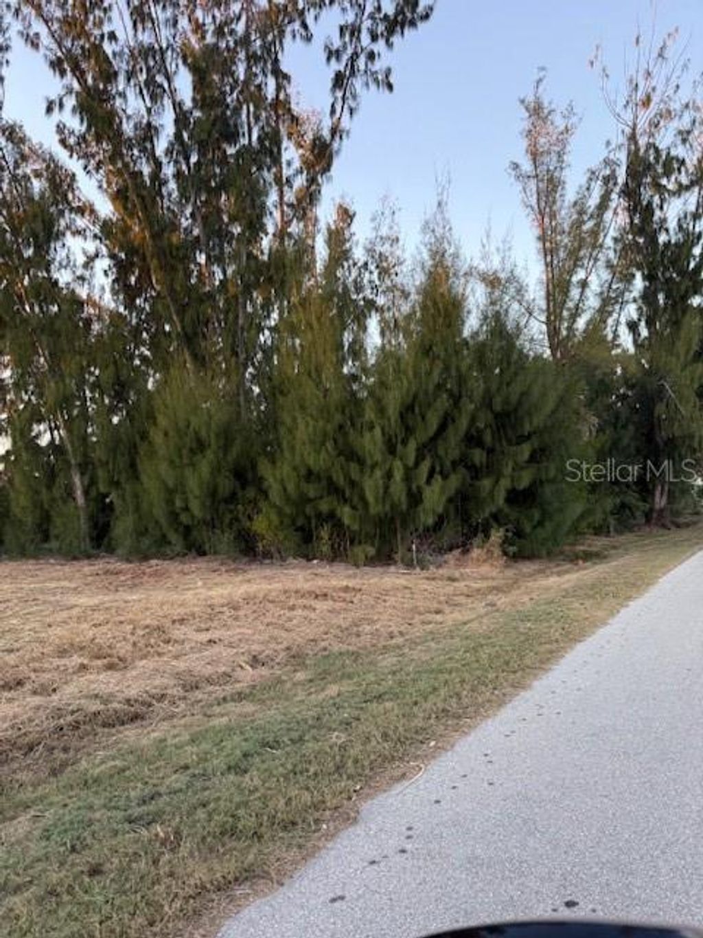 Photo of 3915 Magnolia Way, Punta Gorda, FL 33950 (MLS # C7522202)