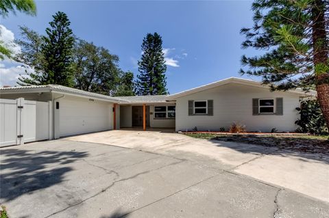 10744 DRUMMOND ROAD TAMPA FL 33615