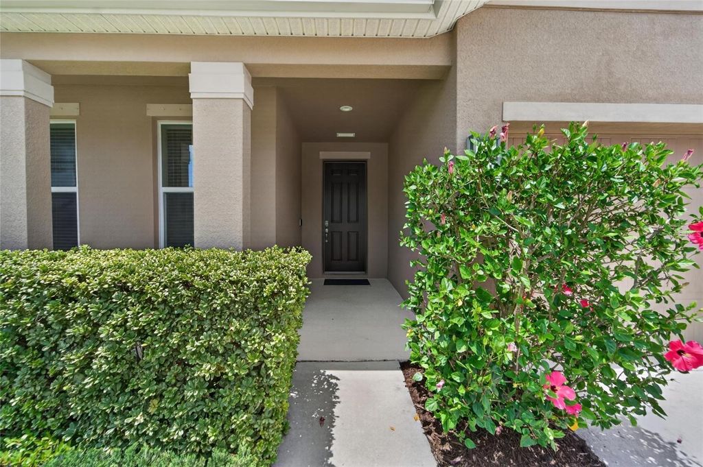 Photo of 11621 Tetrafin Drive, Riverview, FL 33579 (MLS # TB8512618)