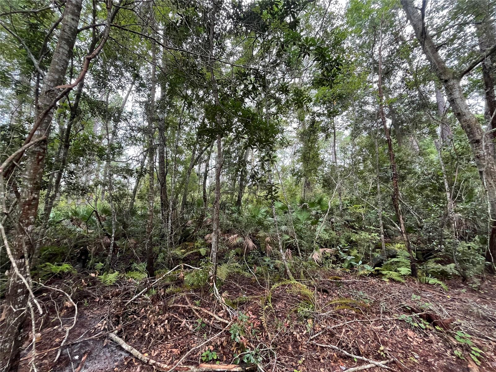 Don't Miss out on this vacant lot in growing Putnam County. Located within minutes of schools, restaurants, diners, and parks. Looking to purchase property in Florida, look no further. Buying Land in Florida is a solid investment for your future. Minutes from St Johns River, Welaka, and Beautiful Crescent Lake in Crescent City.