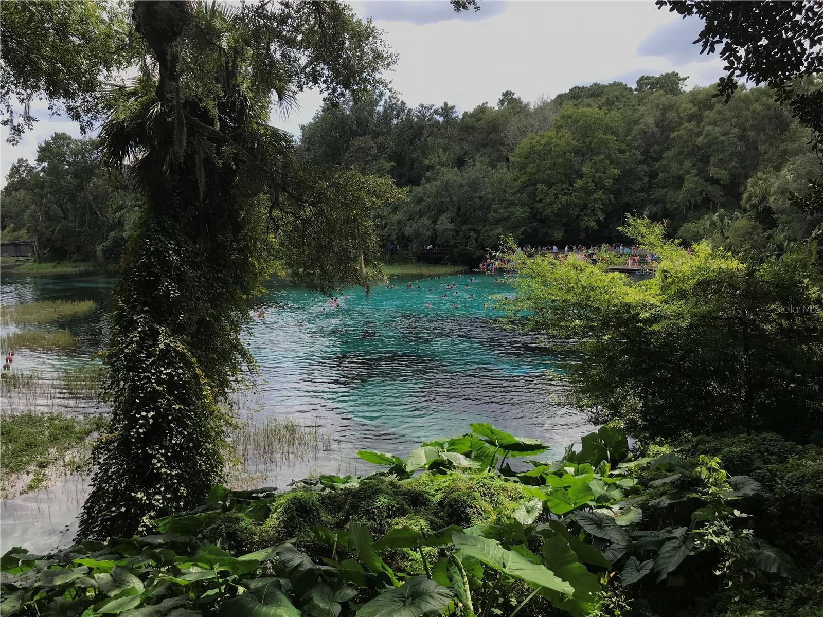 VILLAGE PARK AT THE WILDERNESS RV PARK ESTATES - Land