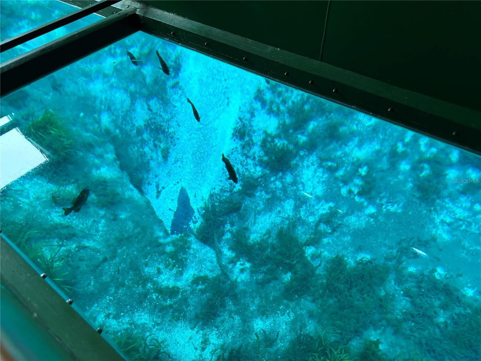 VILLAGE PARK AT THE WILDERNESS RV PARK ESTATES - Land