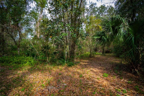 Tiny photo for 7822 Cr 647, Bushnell, FL 33513 (MLS # TB8353084)