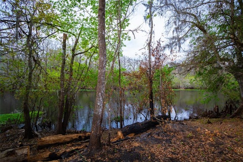 Tiny photo for 7822 Cr 647, Bushnell, FL 33513 (MLS # TB8353084)