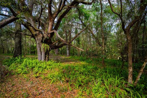 Tiny photo for 7822 Cr 647, Bushnell, FL 33513 (MLS # TB8353084)