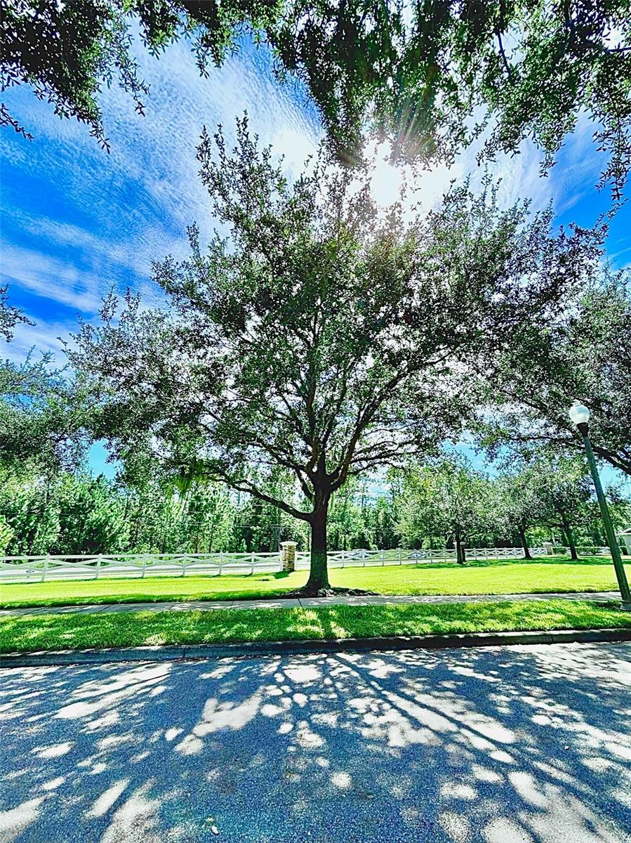 Photo of 12417 Cruxbury Drive, Windermere, FL 34786 (MLS # O6439656)