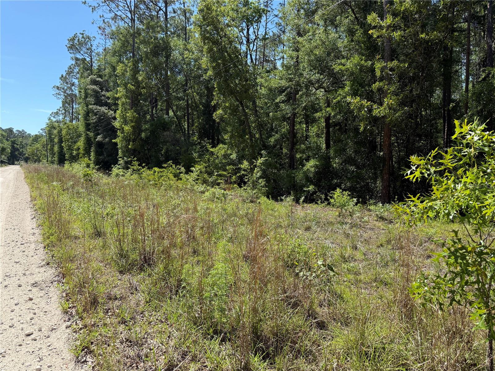 Photo 1 of 14 — 208TH TERRACE, O'BRIEN, FL 32071