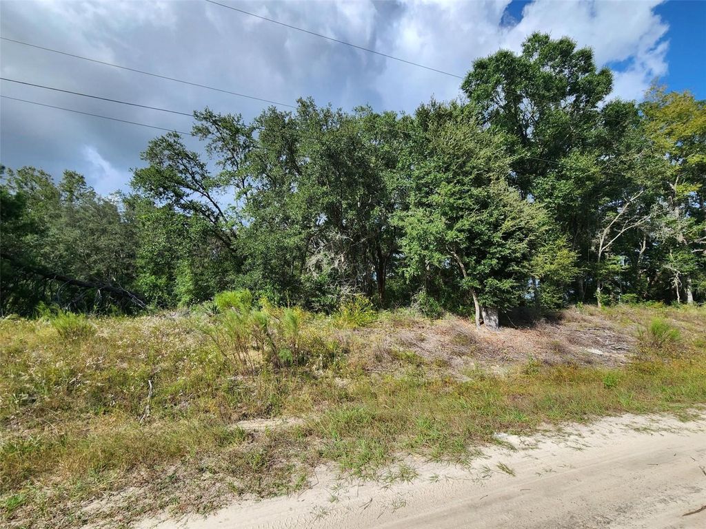 Photo of SW 105 Place, Dunnellon, FL 34432 (MLS # OM710790)